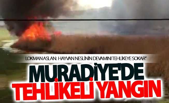 Muradiye'de tehlikeli yangın