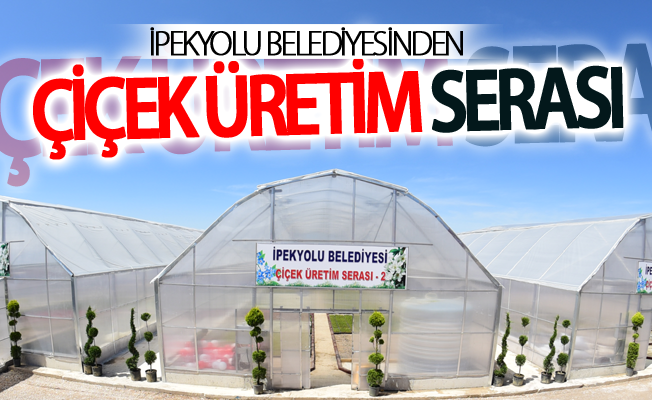 İpekyolu Belediyesinden çiçek üretim serası