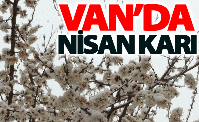 Van’da nisan karı