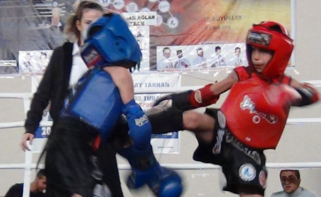 Muay Thai okul sporları Van il turnuvası Erciş’te Yapıldı