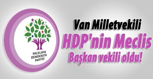 İşte HDP'nin meclis başkan vekili!
