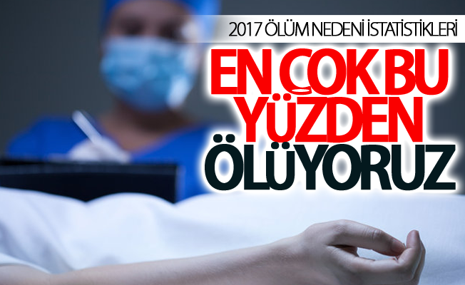 Van'da 2017 ölüm nedeni istatistikleri