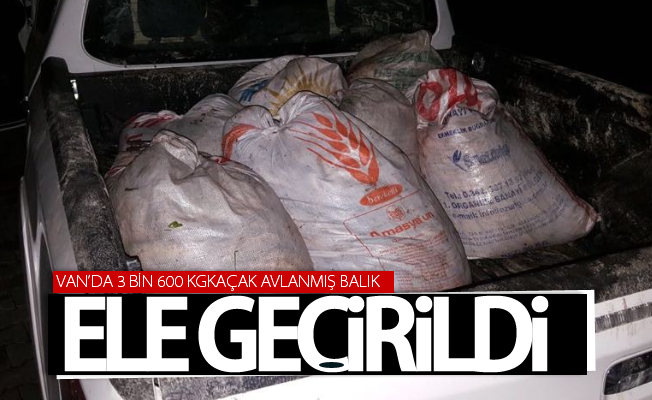 Van’da 3 bin 600 kilogram kaçak avlanmış balık ele geçirildi