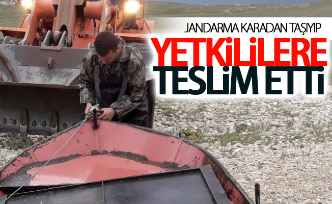 Jandarma karadan taşıyıp yetkililere teslim etti