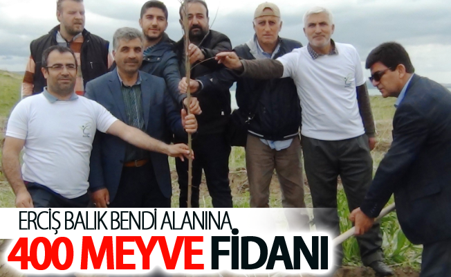 Erciş ilçesinde Balık Bendi alanına 400 meyve fidanı