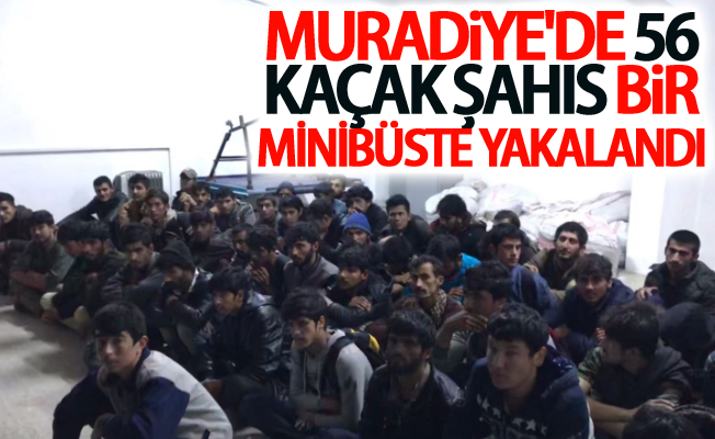 Muradiye'de 56 kaçak şahıs bir minibüste yakalandı