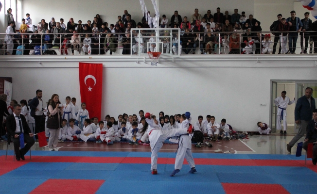 Van’da ‘Karate Dostluk Turnuvası’ nefes kesti