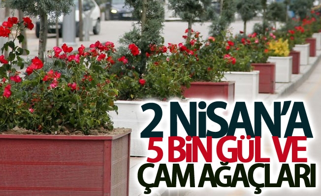 2 Nisan caddesine 5 bin gül ve cam ağaçları dikildi