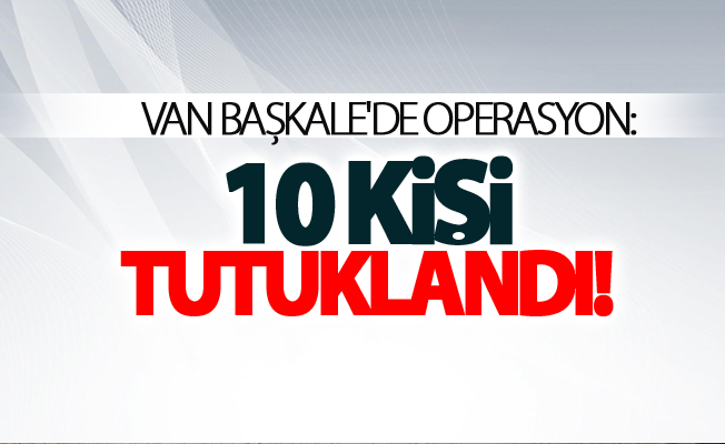 Van Başkale'de operasyon: 10 kişi tutuklandı!