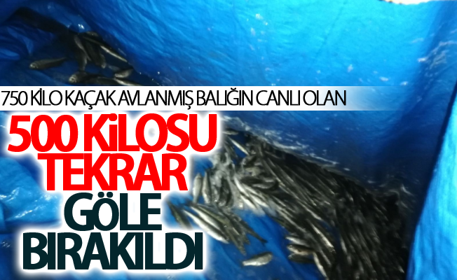 Van'da Erciş'te 750 kilo inci kefali balığı ele geçirildi!500 kilosu tekrar...