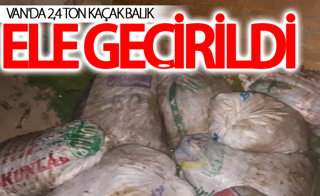 Van'da 2,4 ton kaçak balık ele geçirildi