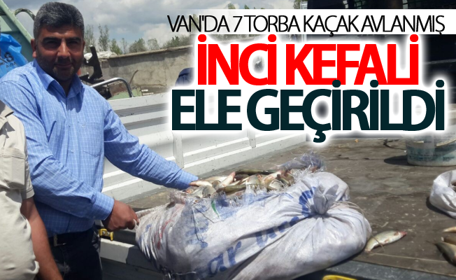 Van'da 7 torba kaçak avlanmış inci kefali ele geçirildi