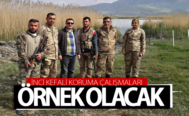 İnci kefali koruma çalışmaları ülkemize örnek olacak