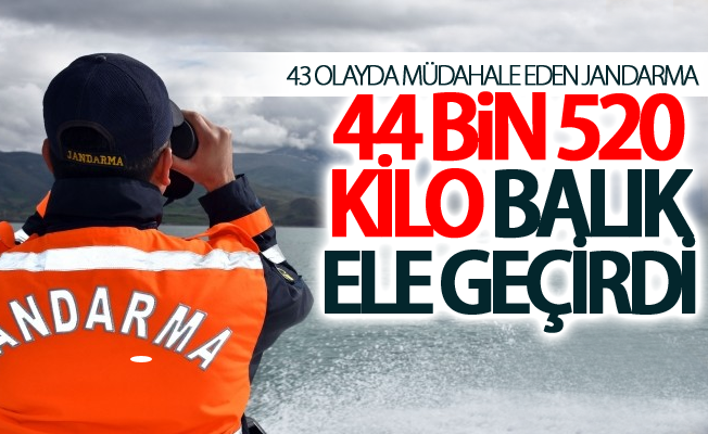 43 olayda müdahale eden Jandarma 44 bin 520 kilo balık ele geçirdi