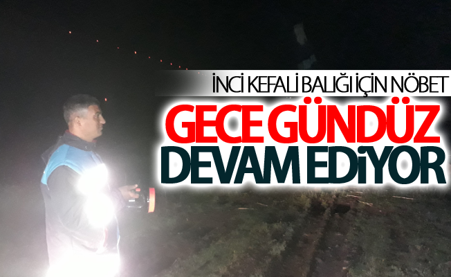 İnci kefali balığı için nöbet gece gündüz devam ediyor