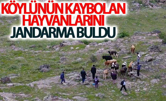 Köylünün kaybolan hayvanlarını jandarma buldu