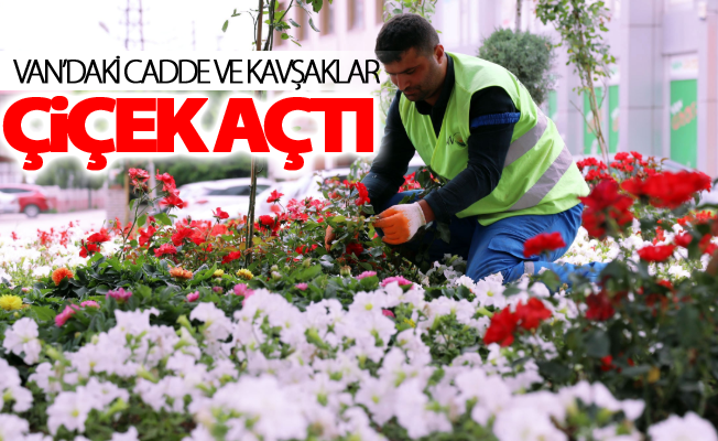 Van’daki cadde ve kavşaklar çiçek açtı