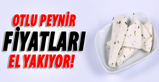 Van'da otlu peynir fiyatları el yakıyor