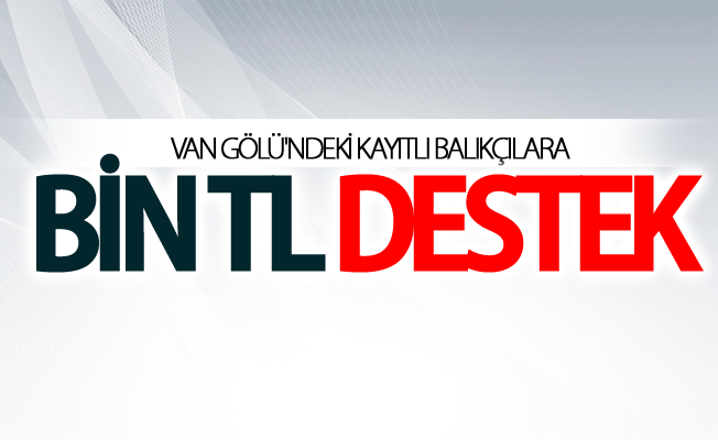 Van Gölü'ndeki kayıtlı balıkçılara bin TL destek