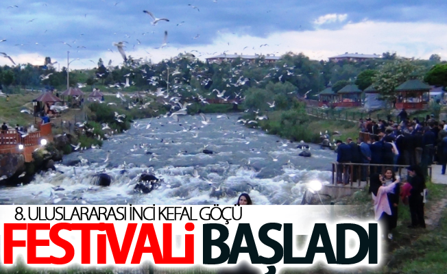 8. Uluslararası İnci Kefal Göçü Festivali başladı