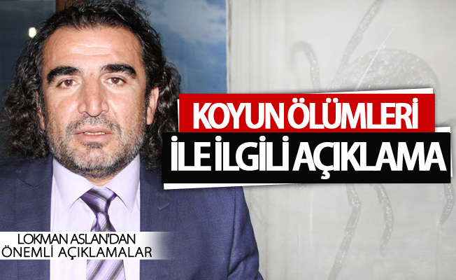 Uzmanlardan koyun ölümleri ile ilgili açıklama