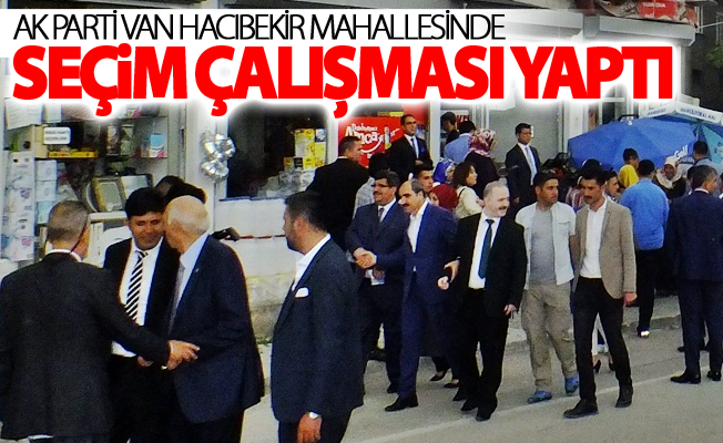 AK Parti Van Hacıbekir Mahallesinde seçim çalışması yaptı