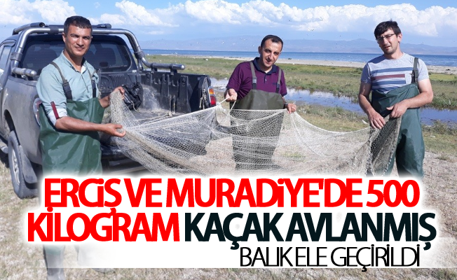 Erciş ve Muradiye'de 500 kilogram kaçak avlanmış balık ele geçirildi