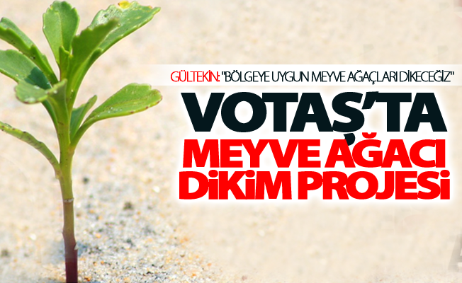 VOTAŞ’ta Meyve Ağacı Dikim projesinde çalışmalar tüm hızıyla devam ediyor