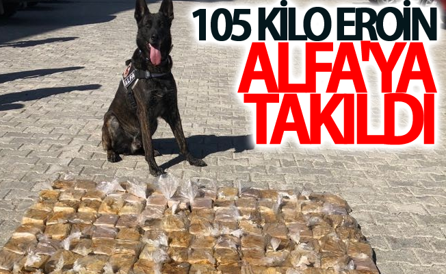 Van’da 105 kilo eroin hassas burun ‘Alfa’ya takıldı