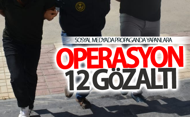 Van'da operasyon:12 gözaltı