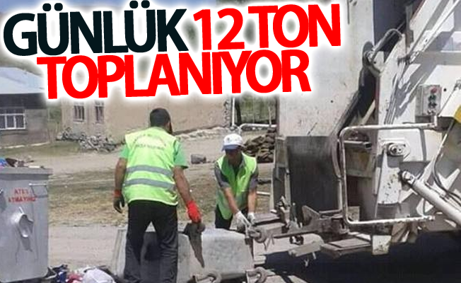 Günlük 12 ton toplanıyor