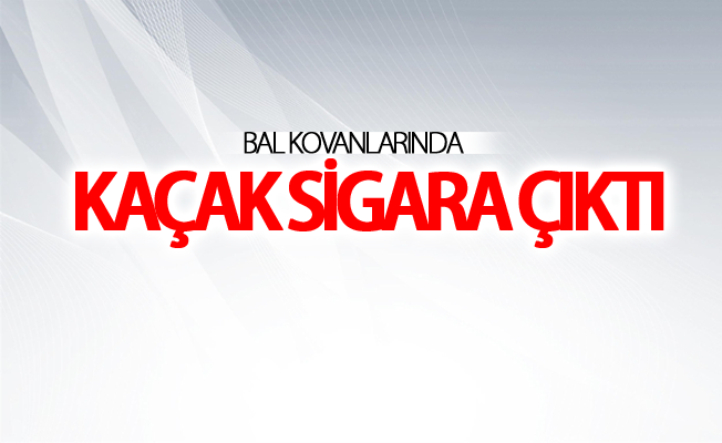 Bal kovanlarında kaçak sigara çıktı