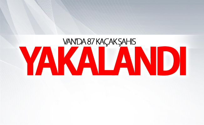 Çaldıran ve Başkale ilçelerinde 87 yabancı uyruklu kaçak şahıs yakalandı