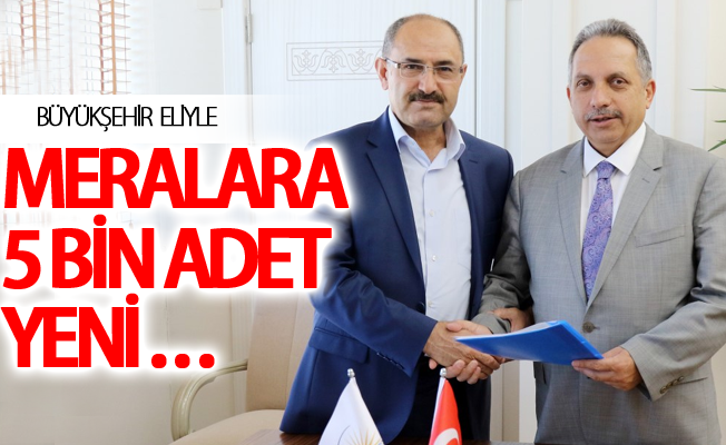 Büyükşehir eliyle Meralara 5 Bin adet yeni sıvat kurulacak