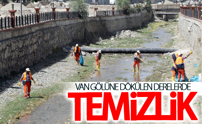 Van Gölüne dökülen derelerde temizlik yapılıyor