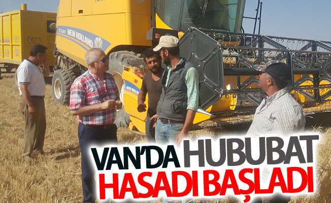 Görentaş: Van’da hububat hasadı dönemine girildi