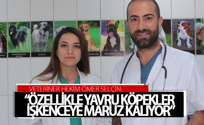 Ölüme terk edilen köpek koruma altında