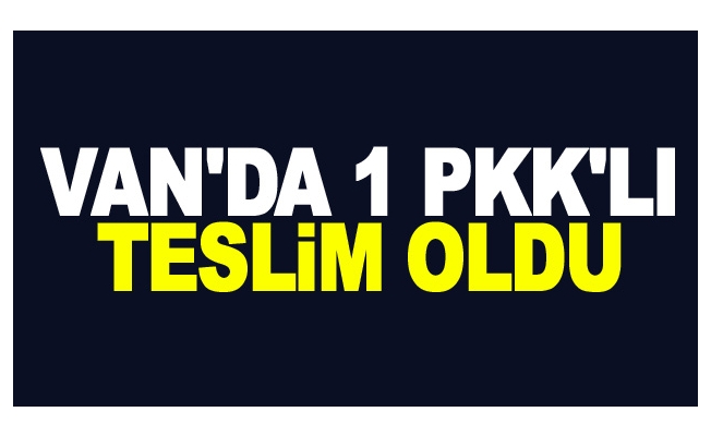 PKK’lı bir kişi, ikna çalışmaları sonucu teslim oldu