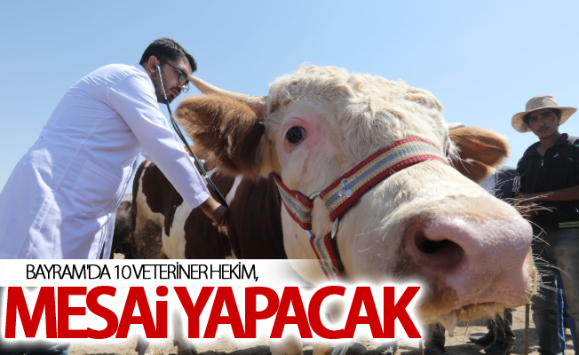 Bayram'da 10 veteriner hekim,  mesai yapacak