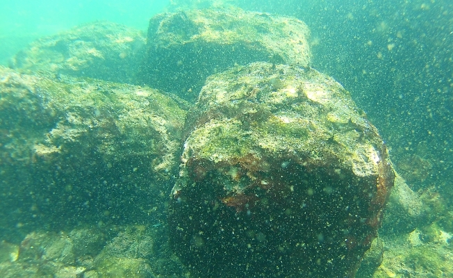 Van Gölü'nün altında yaşam belirtileri