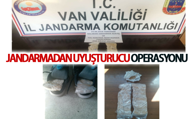 Jandarmadan uyuşturucu operasyonu