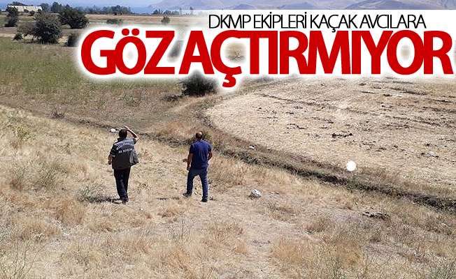 Dkmp ekipleri kaçak avcılara göz açtırmıyor