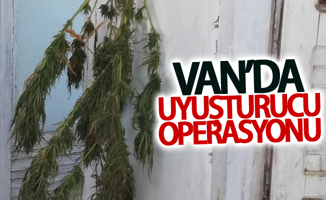 Van’da uyuşturucu operasyonu