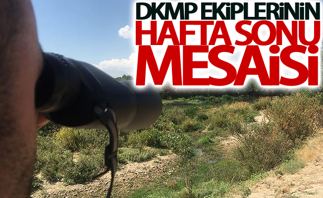 DKMP ekiplerinin hafta sonu kaçak avcı mesaisi