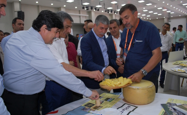Bitlis’teki peynir fuarının yankıları sürüyor