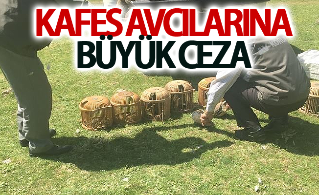 Kafes avcılarına büyük ceza