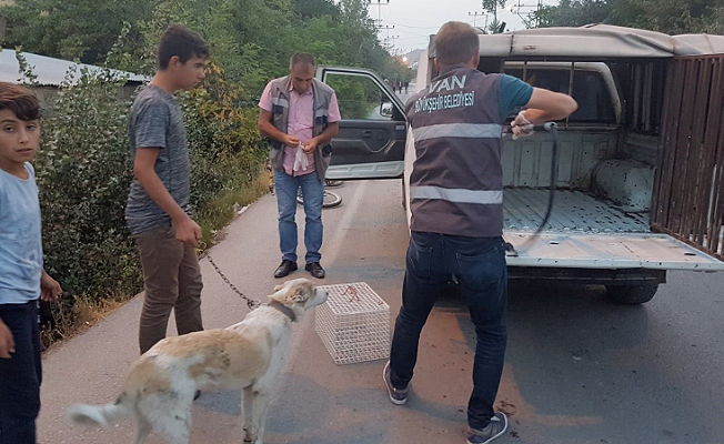 Vanlı çocuklardan örnek davranış