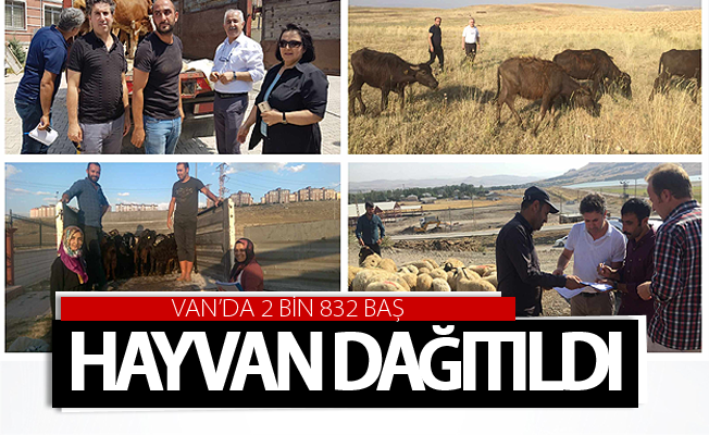 Van’da 2 bin 832 baş hayvan dağıtıldı