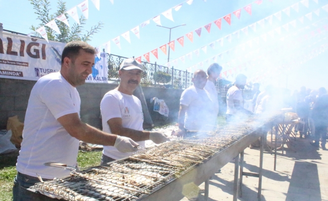 Van’da "4'üncü Van Balığı Festivali" gerçekleştirildi