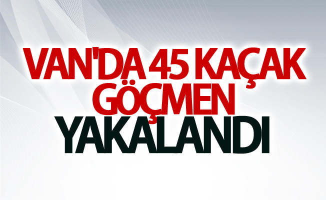 Van'da 45 kaçak göçmen yakalandı